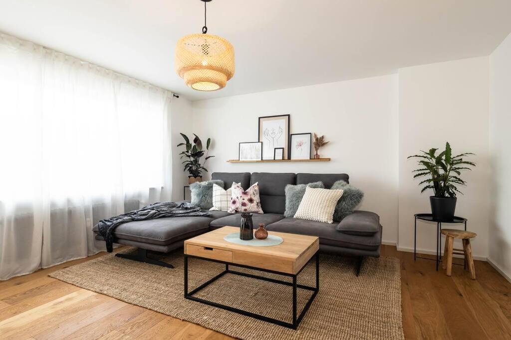 Luxury Apartment On The Rhein Busingen am Hochrhein Exterior photo