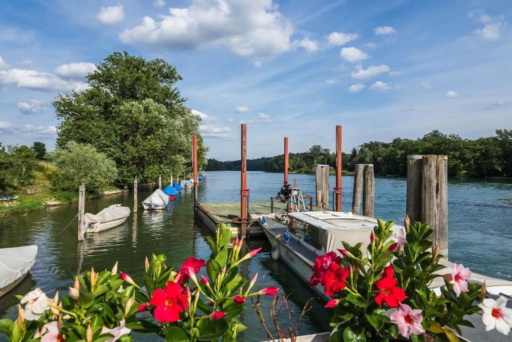 Luxury Apartment On The Rhein Busingen am Hochrhein Exterior photo
