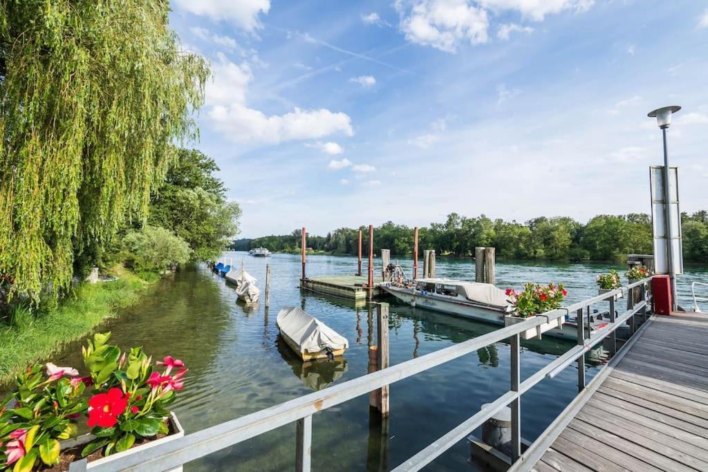 Luxury Apartment On The Rhein Busingen am Hochrhein Exterior photo