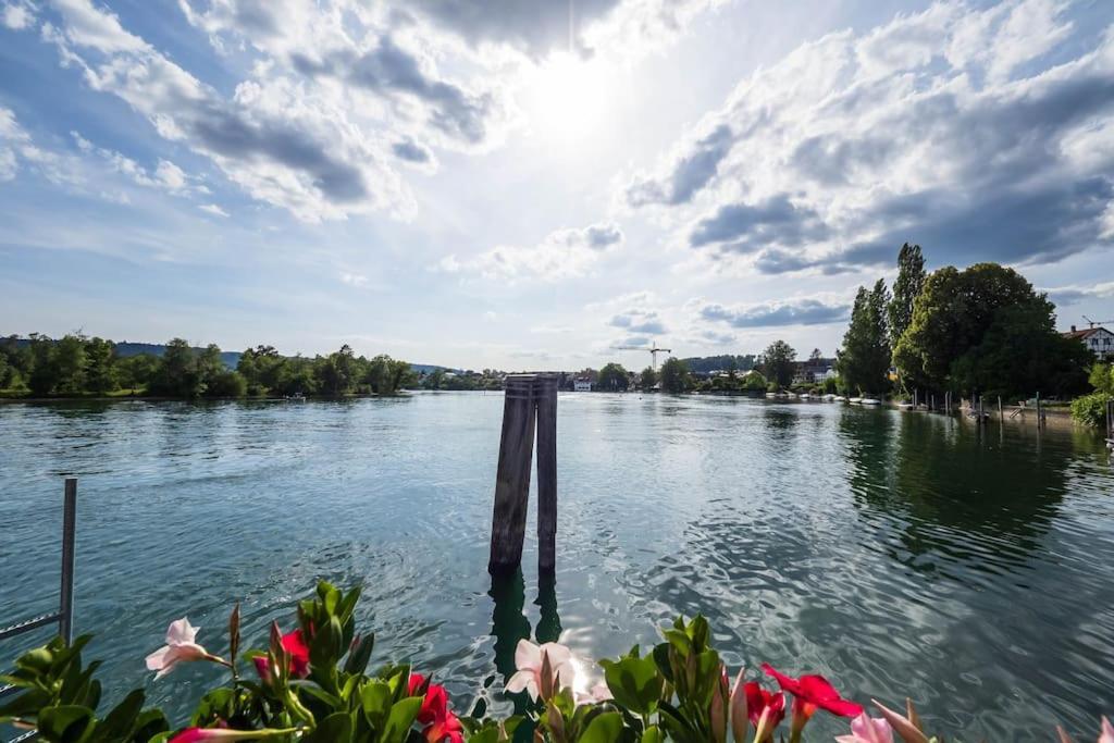 Luxury Apartment On The Rhein Busingen am Hochrhein Exterior photo